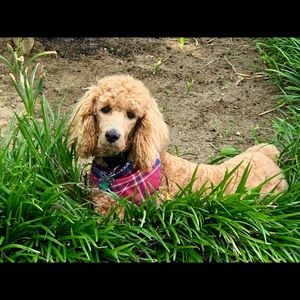 Meet your Posher, Georgia